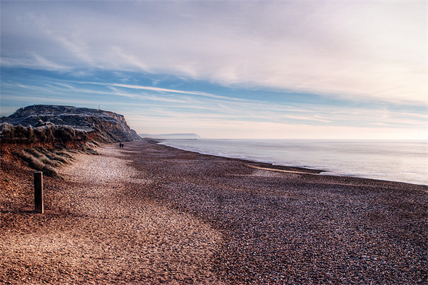 Hengistbury Head and Beach Picture Board by Chris Day