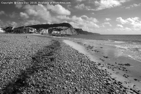 Sidmouth is a town on the South Devon coast. It ha Picture Board by Chris Day