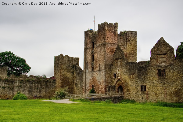 Ludlow Castle Picture Board by Chris Day