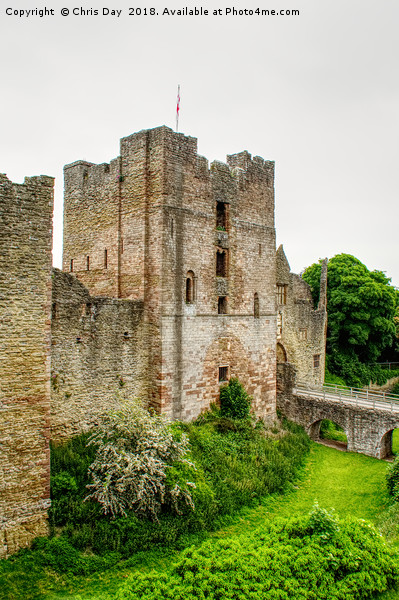 Ludlow Castle  Picture Board by Chris Day