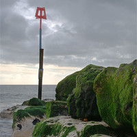Buy canvas prints of Highcliffe Groyne by Chris Day