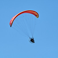 Buy canvas prints of Paraglider by Chris Day