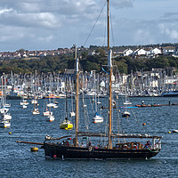 Buy canvas prints of Spirit of Falmouth by Chris Day