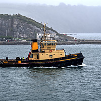 Buy canvas prints of Tug Cannis by Chris Day