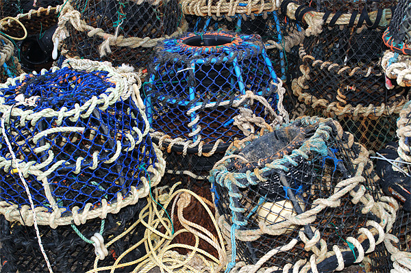 Lobster Pots Picture Board by Chris Day