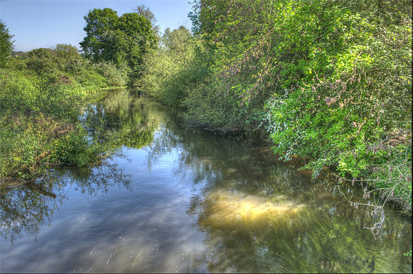 River Colne Picture Board by Chris Day