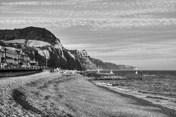 Sidmouth beach Picture Board by Chris Day