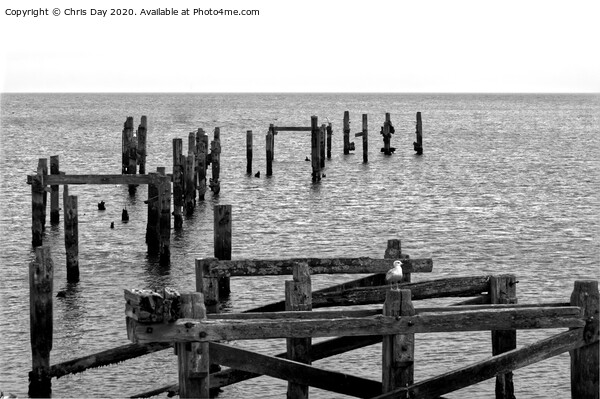 The Old Pier Swanage Picture Board by Chris Day