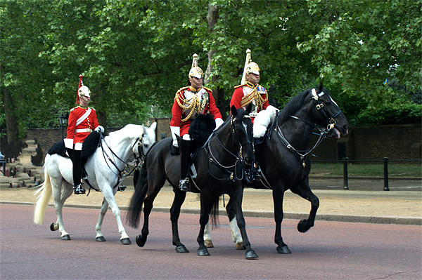 Household Cavalry Picture Board by Chris Day
