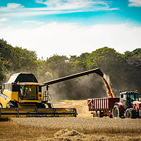 Buy canvas prints of Harvest time by David Kay