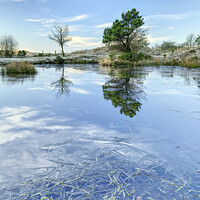 Buy canvas prints of St James Forest Pond Reflection. by Philip Veale