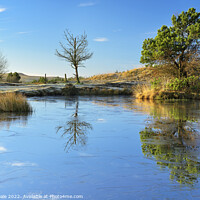 Buy canvas prints of St James Forest Frost Kissed Reflection. by Philip Veale