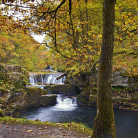 Buy canvas prints of Nedd Fechan Waterfall Autumn Glory. by Philip Veale