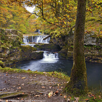 Buy canvas prints of Horse Shoe Falls on the Nedd Fechan (River Neath). by Philip Veale