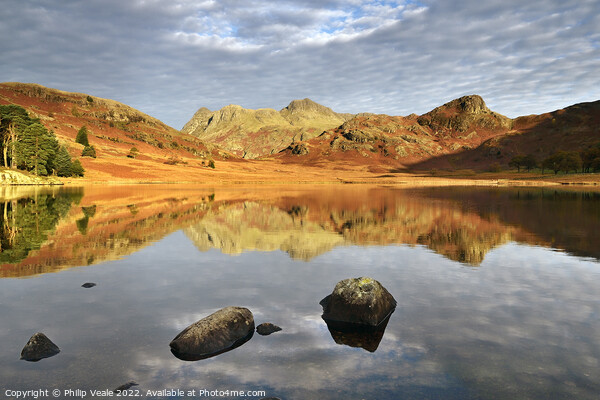 Blea Tarn's Dawn Caress. Picture Board by Philip Veale