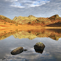 Buy canvas prints of Blea Tarn's Dawn Caress. by Philip Veale