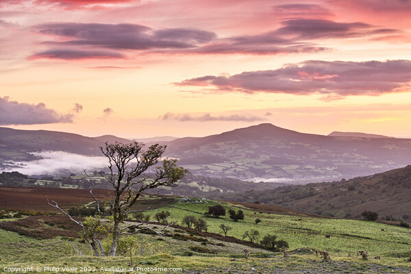 Sugar Loaf and Skirrid Sunrise from the Moors. Picture Board by Philip Veale
