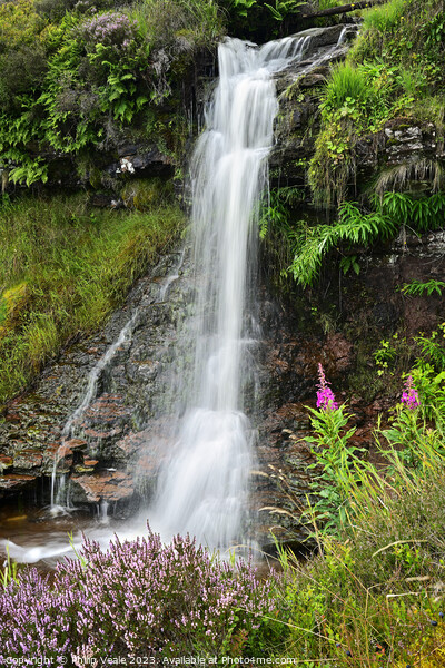 Waterfall on Nant y Gerdinen in Summer. Picture Board by Philip Veale