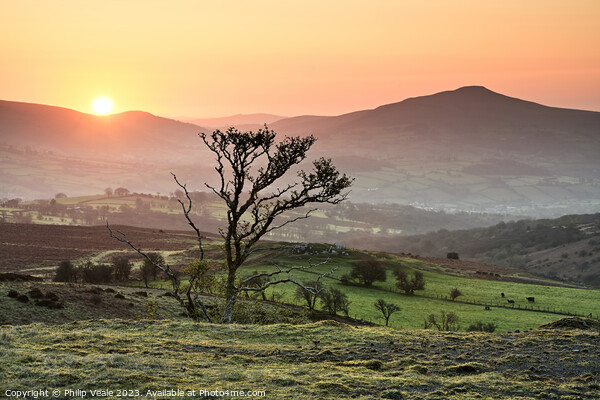 Sugar Loaf Winter Sunrise. Picture Board by Philip Veale