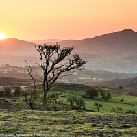 Buy canvas prints of Sugar Loaf Winter Sunrise. by Philip Veale