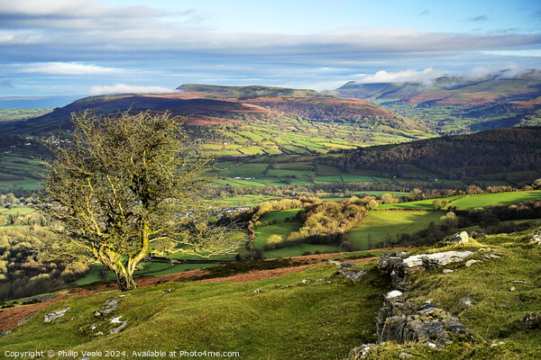 Black Mountains at dawn from the Moors. Picture Board by Philip Veale