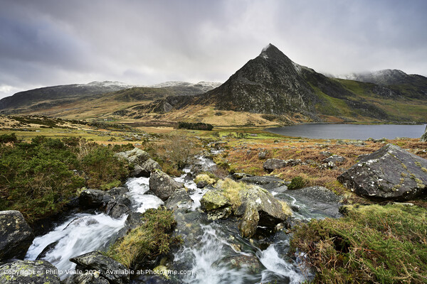 Tryfan in the Ogwen Valley from the slopes of Carnydd Dafydd. Picture Board by Philip Veale
