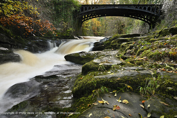 Smart's Bridge, Clydach Gorge in Autumn. Picture Board by Philip Veale