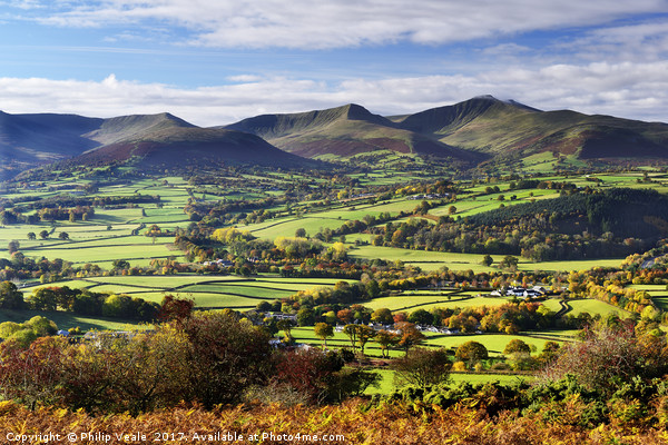 Brecon Beacons in Autumn's Embrace. Picture Board by Philip Veale