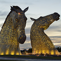 Buy canvas prints of Kelpies at Sunset in Yellow. by Philip Veale