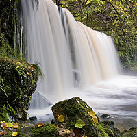 Buy canvas prints of Sgwd Ddwli Waterfall in Autumn. by Philip Veale