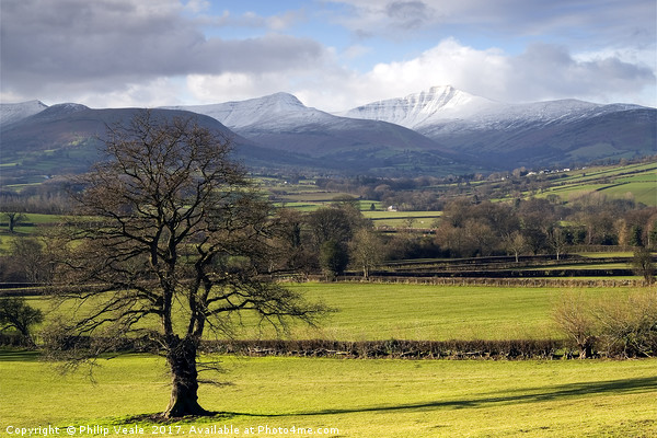 Bannau Brycheiniog Snow Capped Peaks. Picture Board by Philip Veale