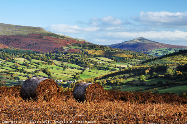 Sugar Loaf and Pen Cerrig Calch in Autumn. Picture Board by Philip Veale