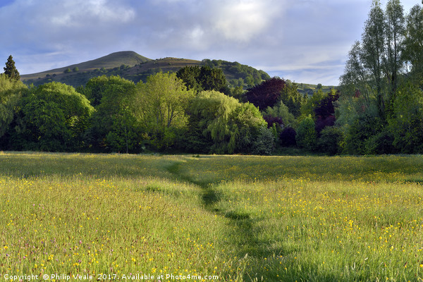 Sugar Loaf from Castle Meadows, Abergavenny. Picture Board by Philip Veale