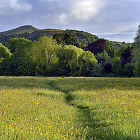 Buy canvas prints of Sugar Loaf from Castle Meadows, Abergavenny. by Philip Veale