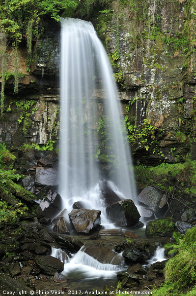 Melin Court Waterfall in late spring. Picture Board by Philip Veale