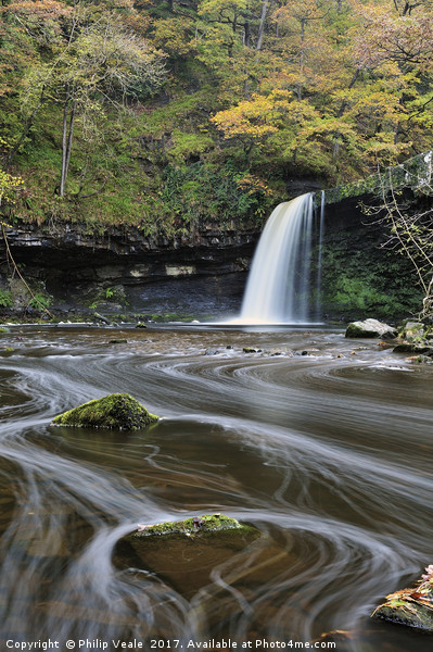 Sgwd Gwladus, aka Lady's Falls in Autumn. Picture Board by Philip Veale