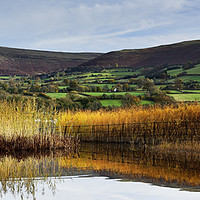 Buy canvas prints of Llangorse Lake on a quiet morning. by Philip Veale