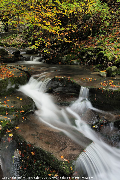 Clydach Gorge Waterfall in Autumn. Picture Board by Philip Veale