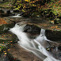Buy canvas prints of Clydach Gorge Waterfall in Autumn. by Philip Veale