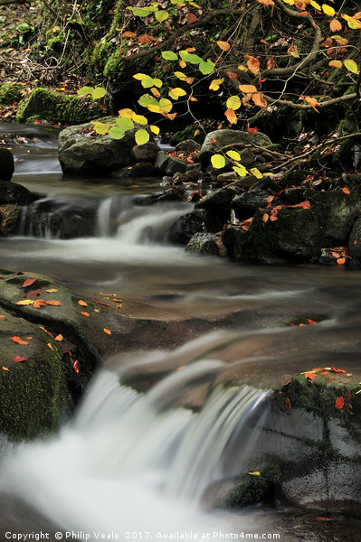Clydach Gorge Falls in Autumn. Picture Board by Philip Veale