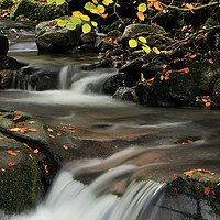 Buy canvas prints of Clydach Gorge Falls in Autumn. by Philip Veale
