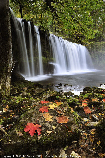 Autumn's Embrace at Sgwd Ddwli Waterfall Picture Board by Philip Veale