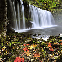 Buy canvas prints of Autumn's Embrace at Sgwd Ddwli Waterfall by Philip Veale
