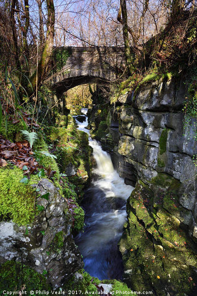 Taf Fechan's Limestone Gorge. Picture Board by Philip Veale