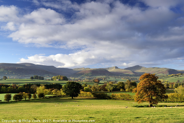 Brecon Beacons in Autumn under a Big Sky. Picture Board by Philip Veale