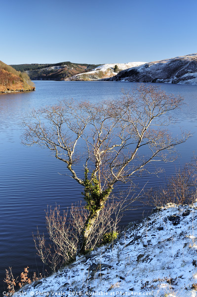 Llyn Brianne in Winter. Picture Board by Philip Veale