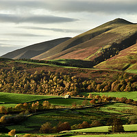 Buy canvas prints of Autumn's Golden Touch on Skiddaw by Philip Veale