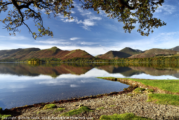 Derwent Water & Catbells Autumn Reflection. Picture Board by Philip Veale