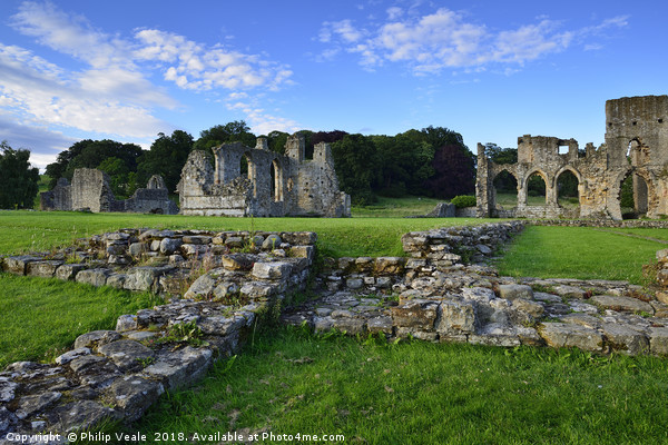 Easby Abbey Ruins on a Summer Evening. Picture Board by Philip Veale