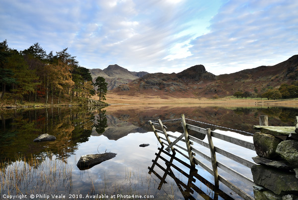 Blea Tarn's Dawn Reflection of Serenity. Picture Board by Philip Veale